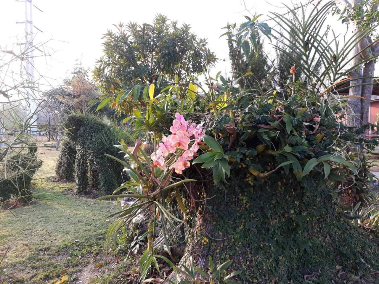 ปอ อา ยอ รีสอร์ท Pai Buitenkant foto